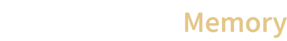 Animesis-Gedächtnissystem